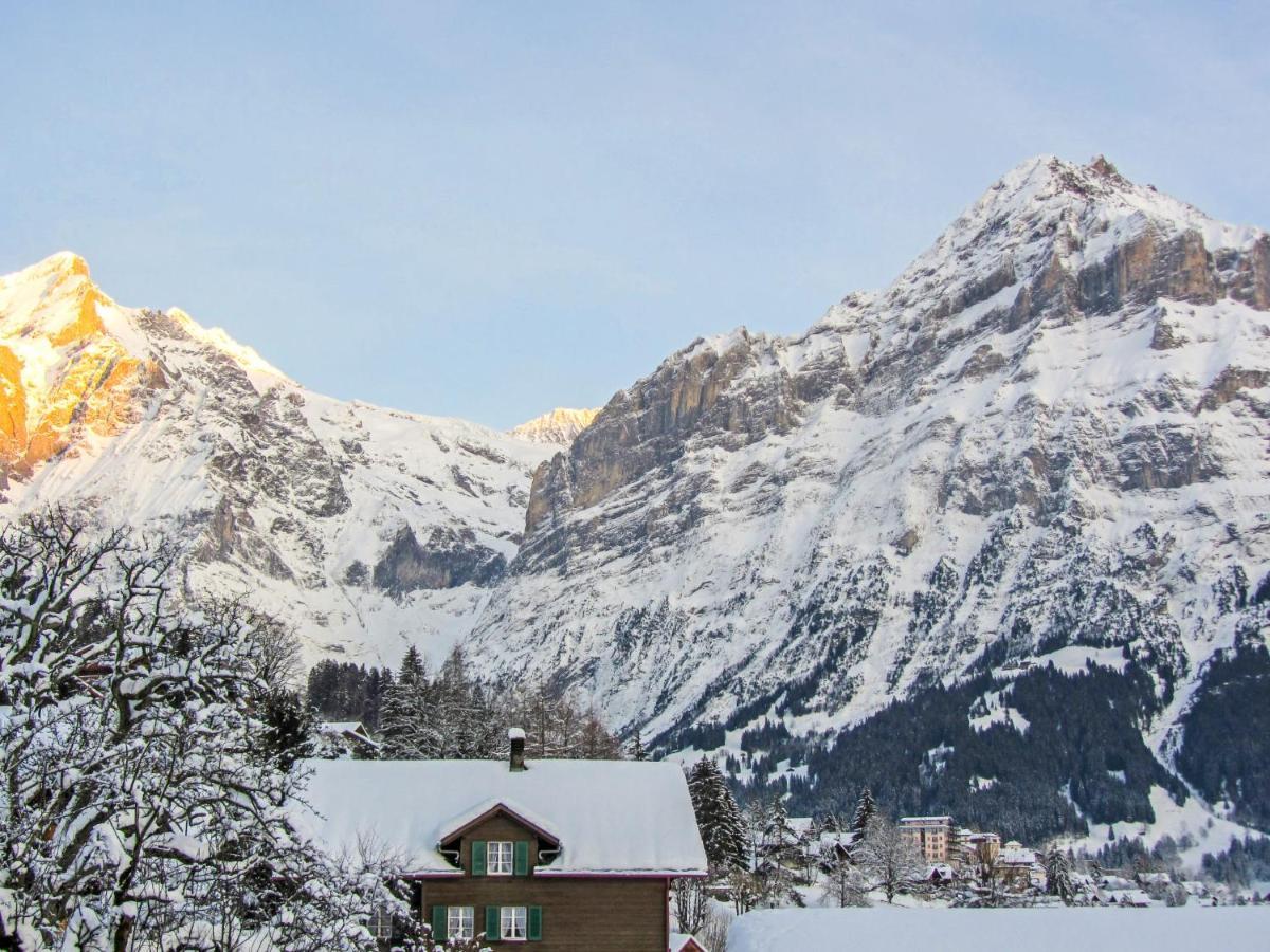 Apartment Chalet Mittelhorn-1 Grindelwald Exteriör bild